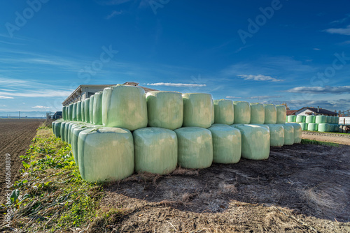 Plastic-wrapped hay bales stacked near the barn on the Italian country farm in the Po Valley in the province of Turin under blue skies photo