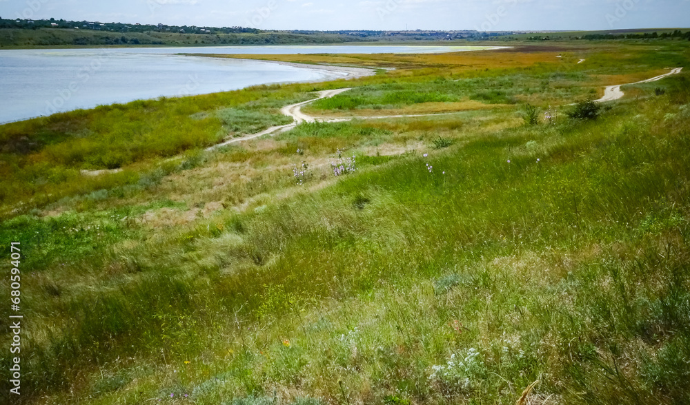Blooming steppe in spring on the coastal slopes of the Tiligul estuary