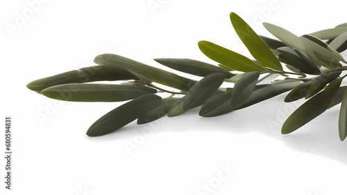 Olive Leaf Painting white background Decoration