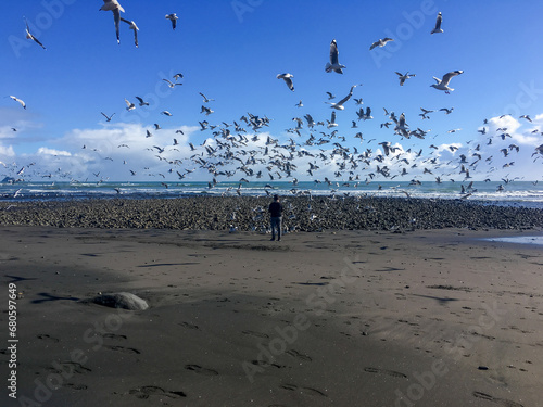 Person feeding seagulls on Fitzroy Beach in New Plymouth, Taranaki, New Zealand