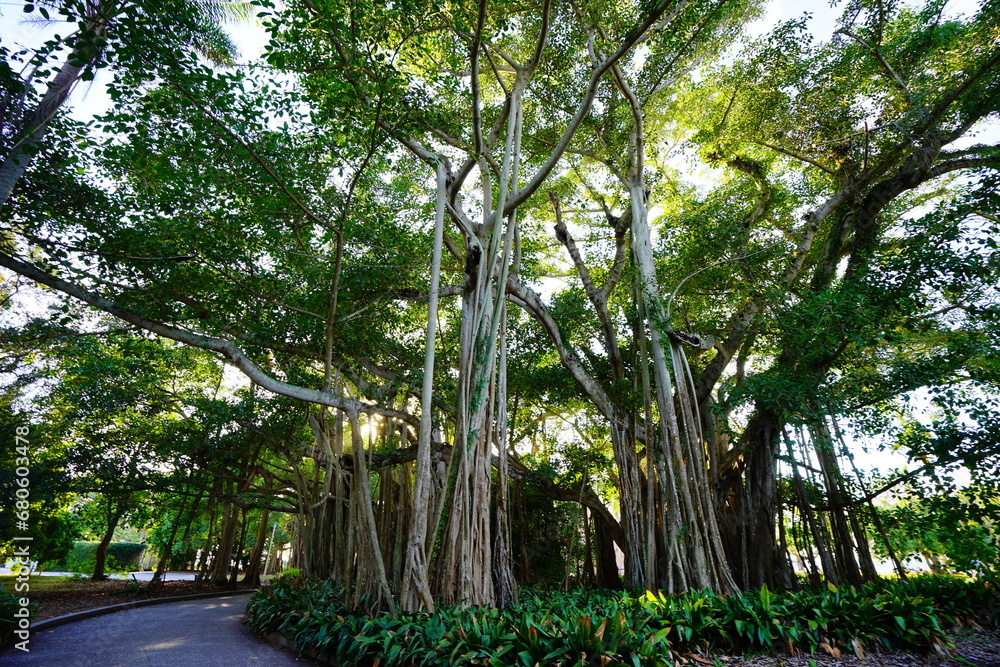 Fototapeta premium Sarasota, FL, USA - 11 12 2023: The landscape of Ringling museum in Florida 