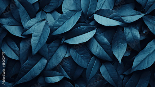 blue spring  leaves texture background  photo