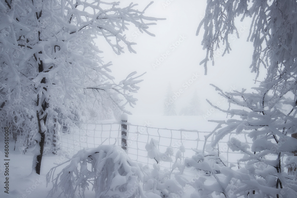 Krajobraz zimowy w górach, białe zaśnieżone drzewa - obrazy, fototapety, plakaty 