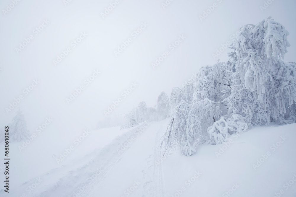 Krajobraz zimowy w górach, białe zaśnieżone drzewa - obrazy, fototapety, plakaty 