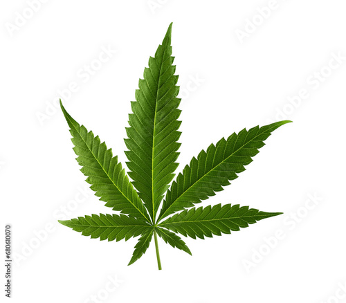 Fotografi Hemp leaf cut out on transparent background