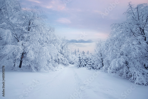 Wallpaper Mural Krajobraz zimowy w górach, białe zaśnieżone drzewa Torontodigital.ca