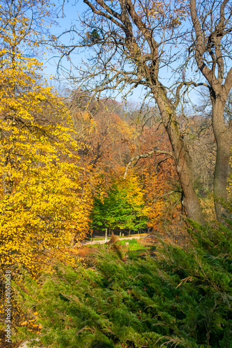 Autumn landscape, Colorful trees with yellow foliage in Sofievsky park