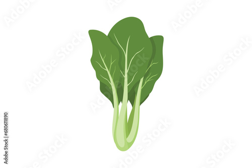 Bok Choy isolated on white background, Asian green fresh leafy vegetables. Healthy natural vegetarian food. mustard greens flat vector illustration.