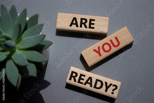 Are you ready symbol. Concept word Are you ready on wooden blocks. Beautiful grey background with succulent plant. Business and Are you ready concept. Copy space