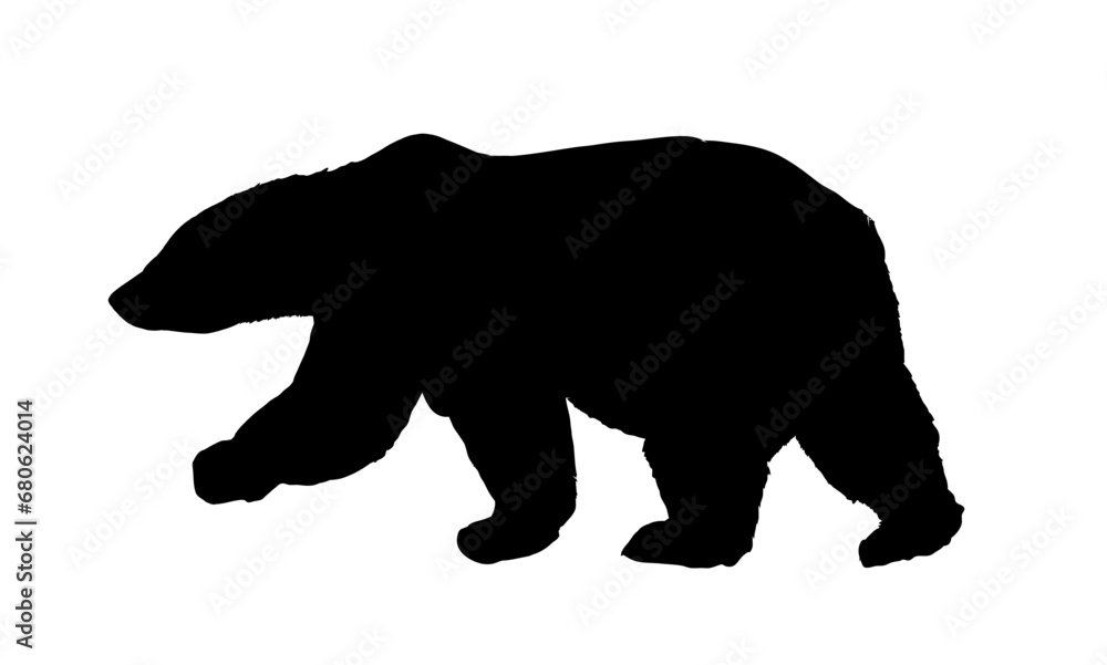 Fototapeta premium silhouette of a bear