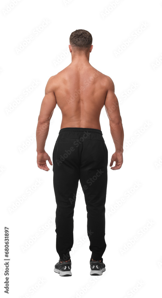 Fototapeta premium Young bodybuilder with muscular body on white background, back view