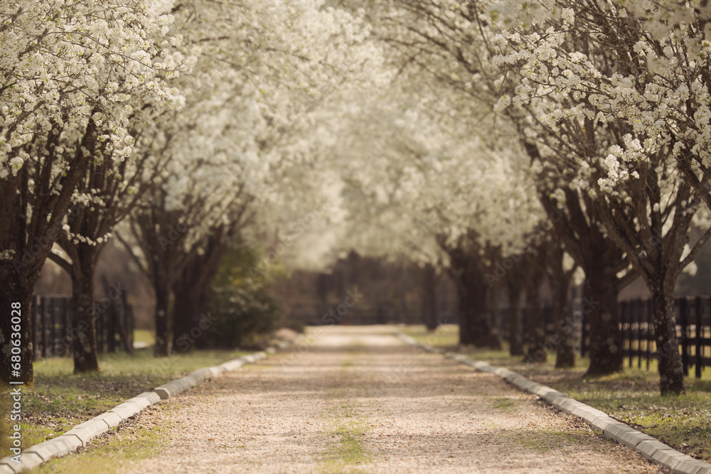 Digital landscape, spring, autumn, cinematographic. Digital landscape, spring, autumn, cinematographic.