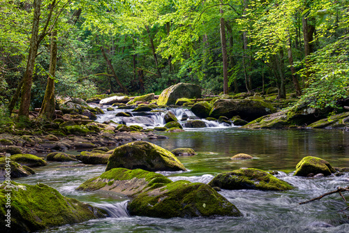 Cascading Mountain Stream