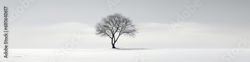 lone tree is standing on snow covered field concept of solitude