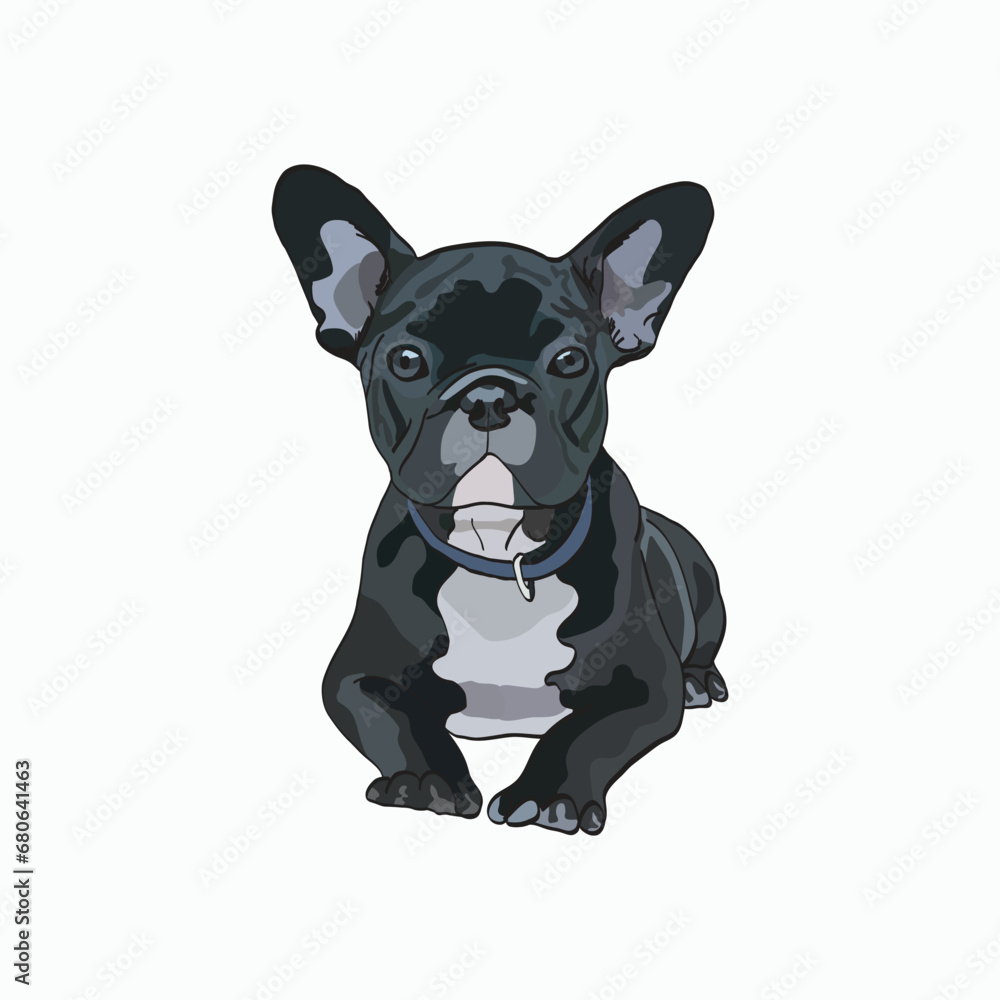 French bulldog, sitting pose. Cute dog character, black and white coat color, cute cartoon vector with a lot of details. French bulldog card, funny frenchie, high ears, serious face, laying pose.