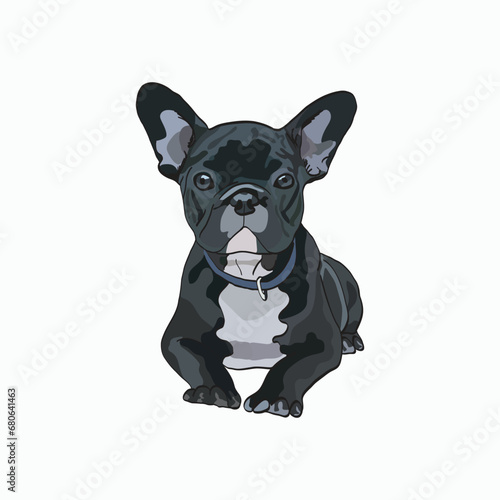French bulldog, sitting pose. Cute dog character, black and white coat color, cute cartoon vector with a lot of details. French bulldog card, funny frenchie, high ears, serious face, laying pose. © Natalia