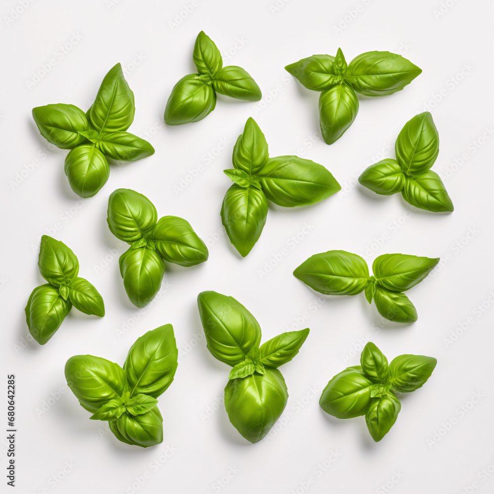 Lonely basil leaves lay arranged atop a plain white background, inviting viewers to admire their verdant hue in a crisp, clear focus. Lonely basil leaves lay arranged atop a plain white background, inviting viewers to admire their verdant hue in a crisp, clear focus.