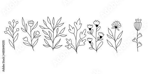 Collection of hand drawn flowers and potted plants.