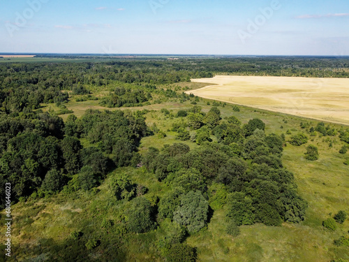 Green deciduous forest next to a farm field. Landscape from a bird's eye view. Sunny weather.