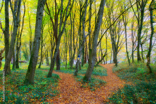 Scenic autumn landscape of Vadu Crisului on a sunny day, Romania, Europe 
