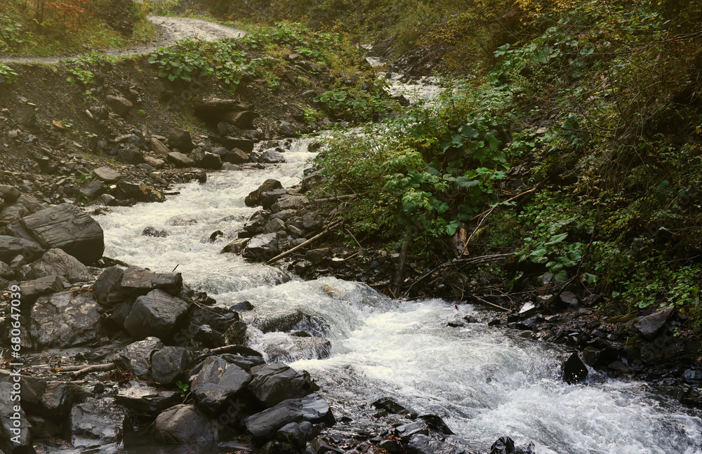 A bright blue river flowing through forest in a hidden park along the scenic drive in Hoverla mountains area in Ukraine A bright blue river flowing through forest in a hidden park along the scenic drive in Hoverla mountains area in Ukraine