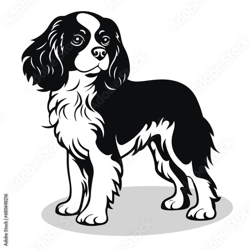 Cavalier King Charles Spaniel silhouettes and icons. black flat color simple elegant Cavalier King Charles Spaniel animal vector and illustration.