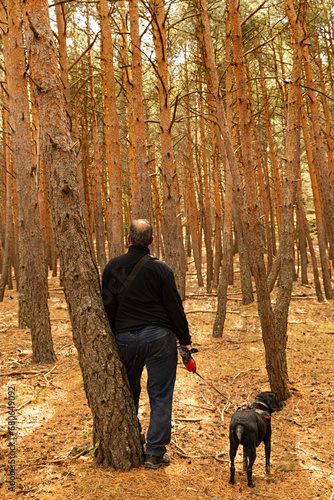 Hombre con su perro de paseo por un bosque.