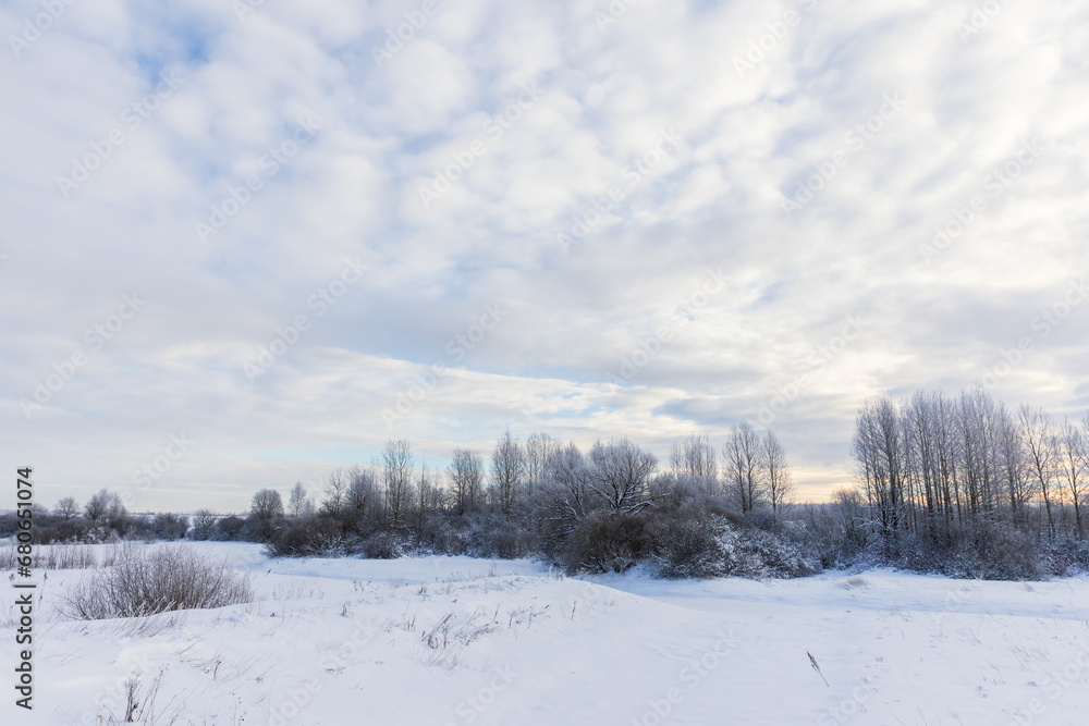 Rural winter landscape with snowy field and bare trees under cloudy sky