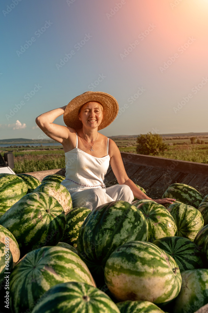 Fototapeta premium watermelon woman. He sits in a hat on a mountain of watermelons. Trailer with watermelons in the market.