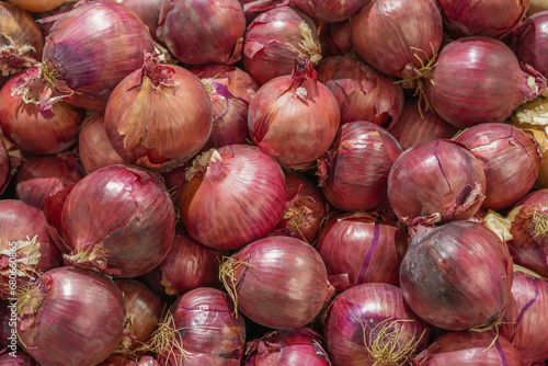 fresh purple onion in heap