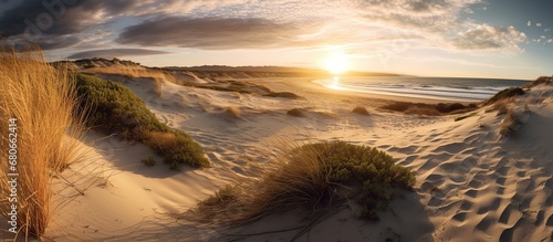 Panorama of dunes on the coast of the Baltic Sea photo