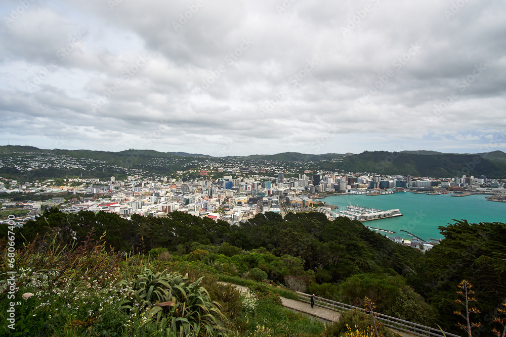 view of the bay of Wellington in NEw Zealand