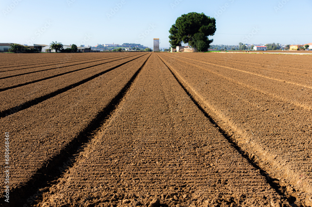 Autumn Preparation: Plowed and raked field ready for planting under the clear sky.