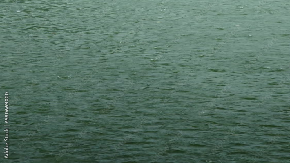 rain in the water with rippling surface, vertical video rain in the water with rippling surface, vertical video