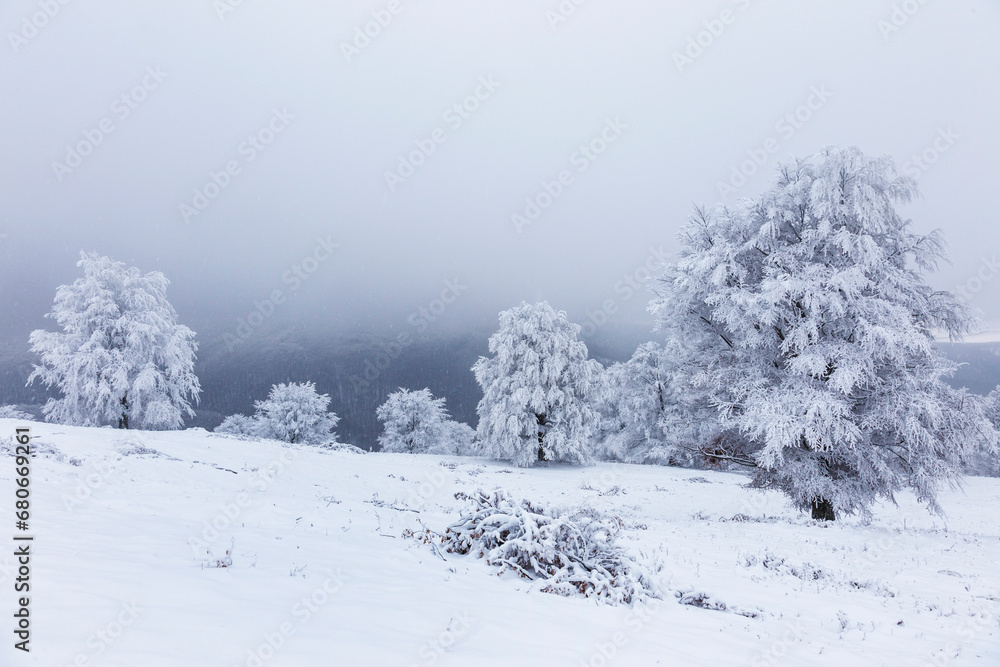 Cold and Cloudy day with snow in the Carpathiansn.