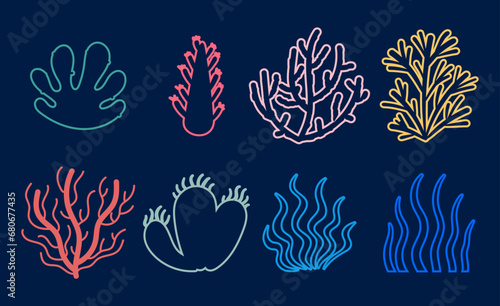 Seaweed alga marine sea plant aquatic reef isolated set. Vector flat graphic design illustration 