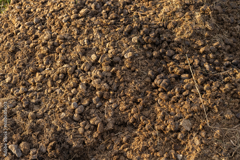 Background from horse droppings, top view. A compost heap filled with horse droppings. Animal manure is an excellent fertilizer for plants. Livestock concept. Background from horse droppings, top view. A compost heap filled with horse droppings. Animal manure is an excellent fertilizer for plants. Livestock concept.