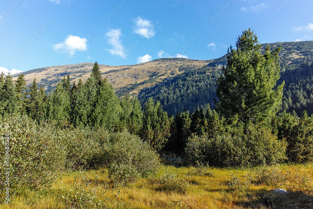 Area of Tiha Rila (Quiet Rila), Rila mountain, Bulgaria