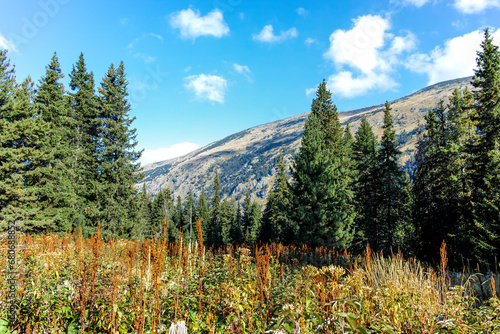 Area of Tiha Rila (Quiet Rila), Rila mountain, Bulgaria photo