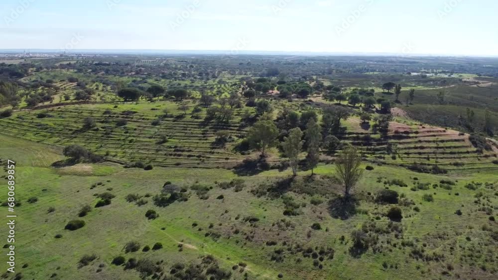 Aerial drone view of the pastures of the province of Huelva, with cork oaks and green meadows Aerial drone view of the pastures of the province of Huelva, with cork oaks and green meadows