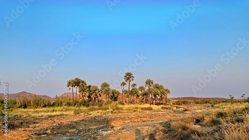 Palmwag Oasis in the vast desert of Damaraland Namibia photo