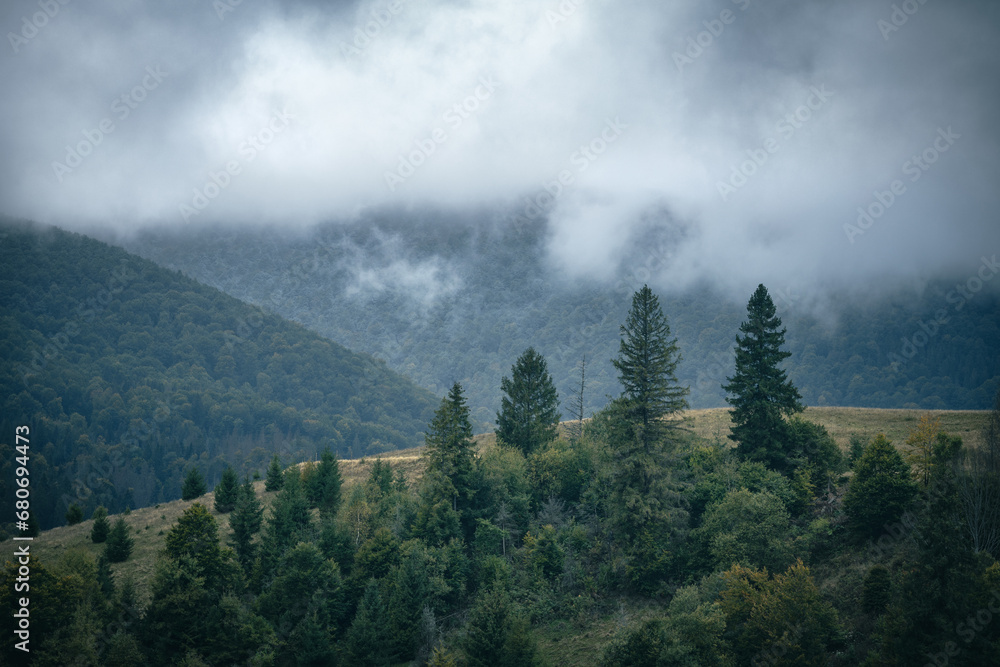 Fog over spruce trees forest. Mountain hills with clouds on an autumn rainy day.