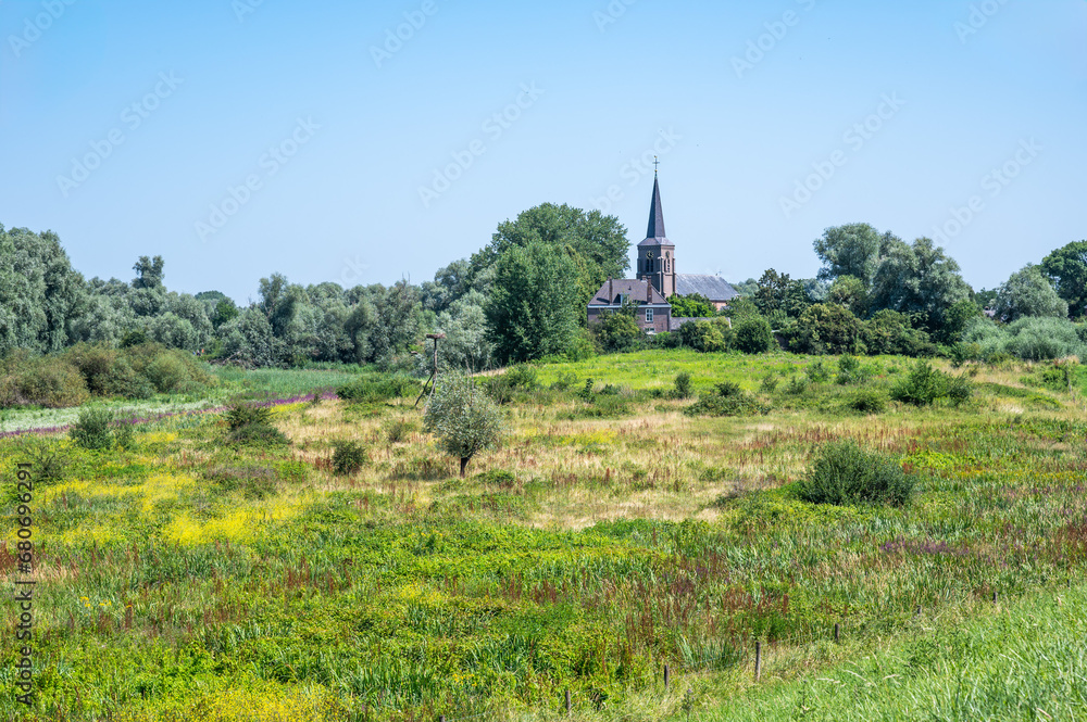 Natural flood zone of the River Waal and natural surroundings, The Nederlands