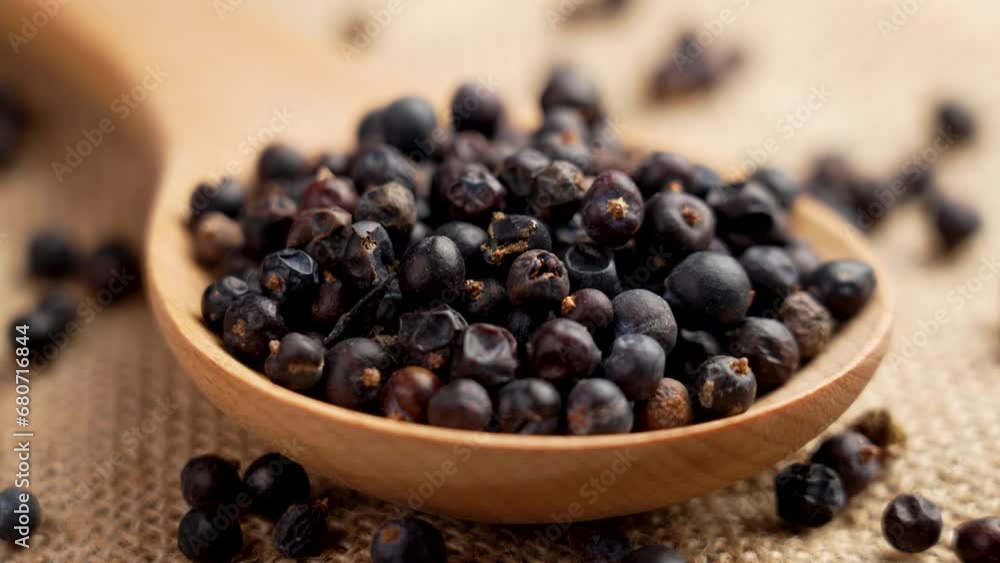 Dried juniper berries in wooden spoon on a rustic sackcloth close up. Natural seasoning. Rotation Dried juniper berries in wooden spoon on a rustic sackcloth close up. Natural seasoning. Rotation