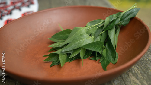 Obraz na plátně a plate for consecration with periwinkle, customs and traditions