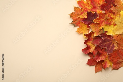 Autumn season. Colorful maple leaves on beige background, top view with space for text