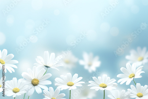 Delicate chamomile flowers on a blue background with bokeh.
