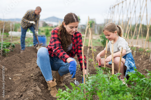 Farmers family, mother and daughter together planting seedlings at a farm on a sunny day