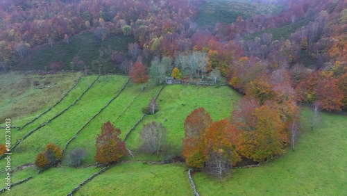 Autumn landscape of meadows, pasiegas cabins and deciduous forest. Aerial view from a drone. Espinosa de los Monteros. Pasiegos Valleys. Burgos. Castile and Leon. Spain. Europe photo