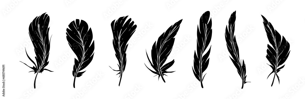 Set of bird feather silhouettes. Vector graphics. - obrazy, fototapety, plakaty 